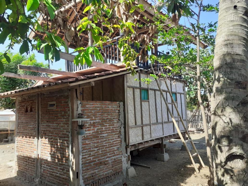 Sollo Sollo Homestay Lemonga Kültér fotó